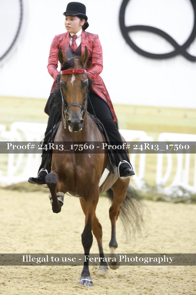 Proof 24R13_17560