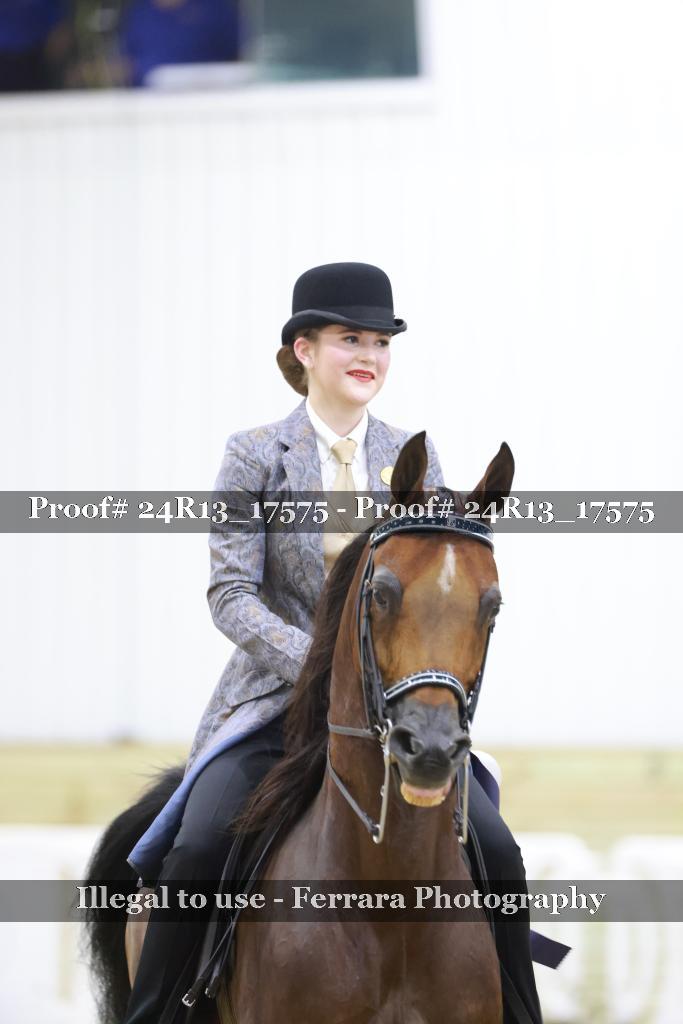 Proof 24R13_17575