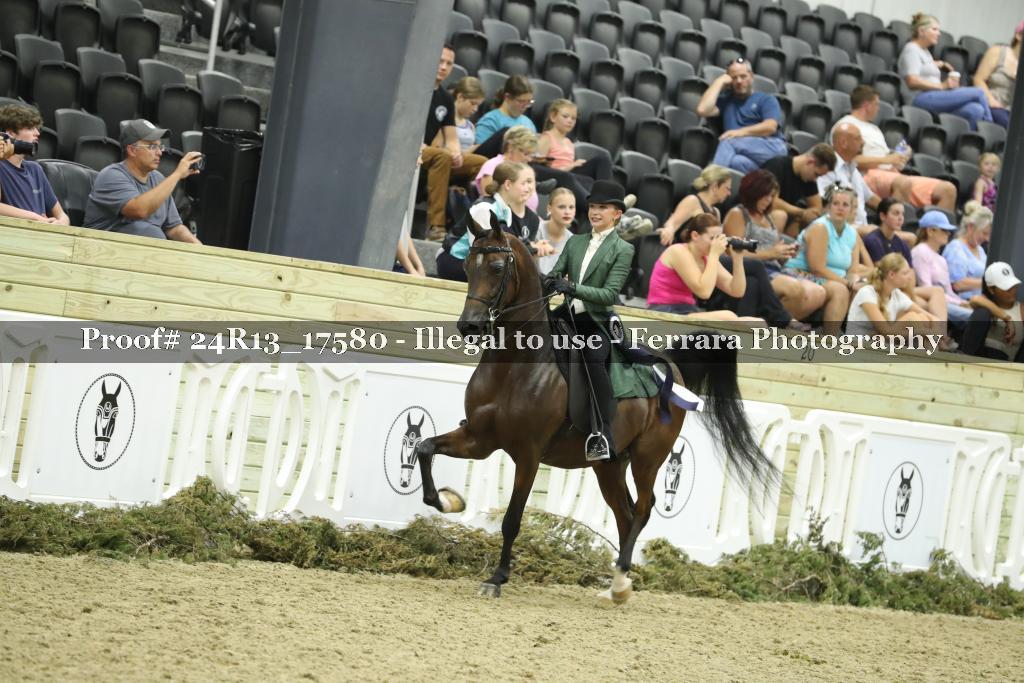 Proof 24R13_17580