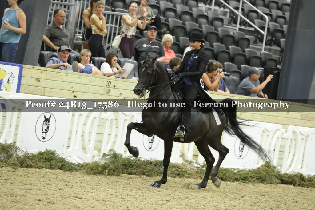 Proof 24R13_17586