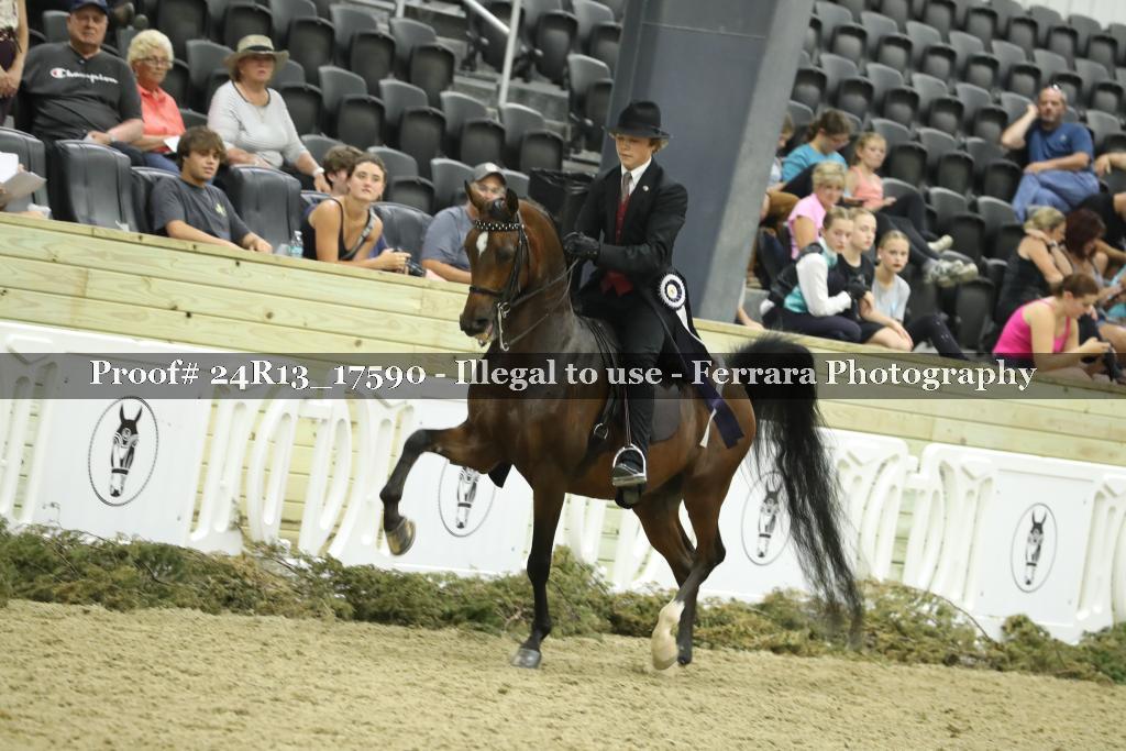 Proof 24R13_17590
