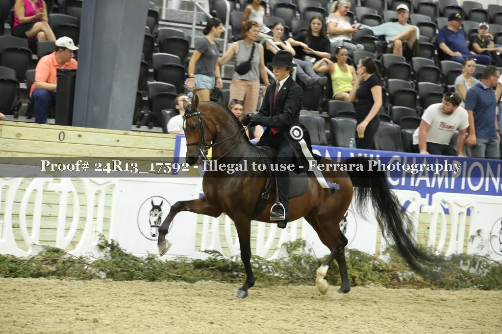 Proof 24R13_17592