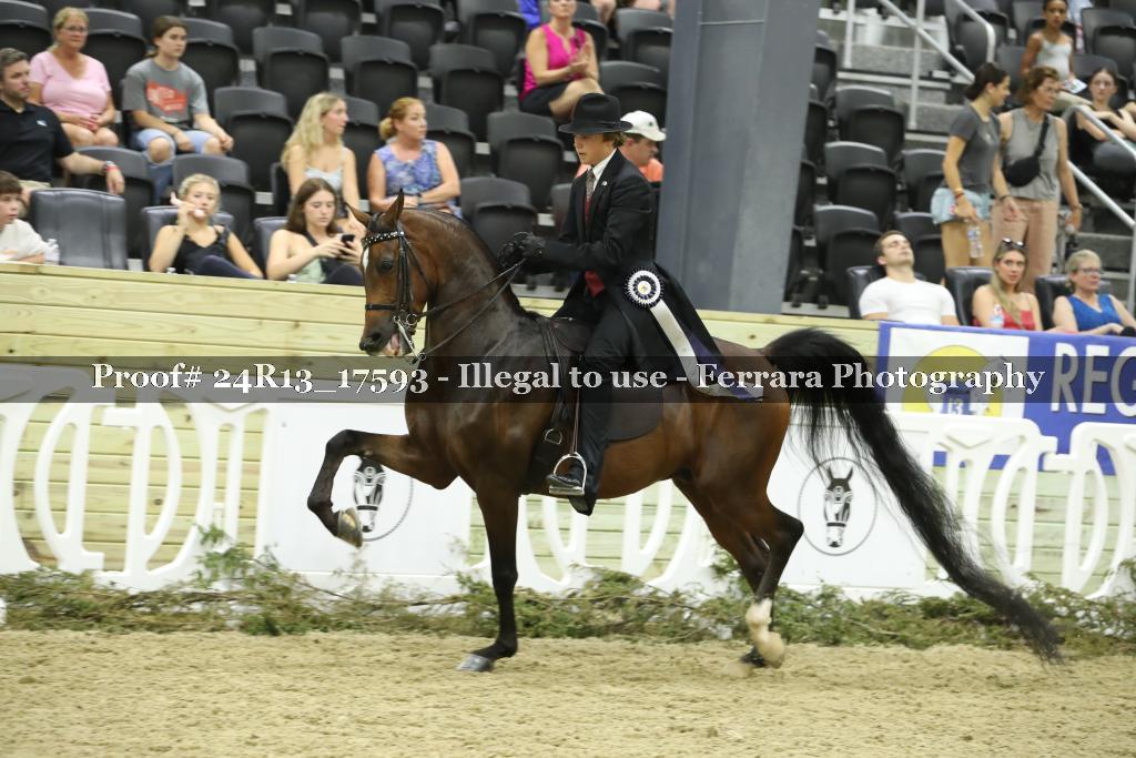 Proof 24R13_17593