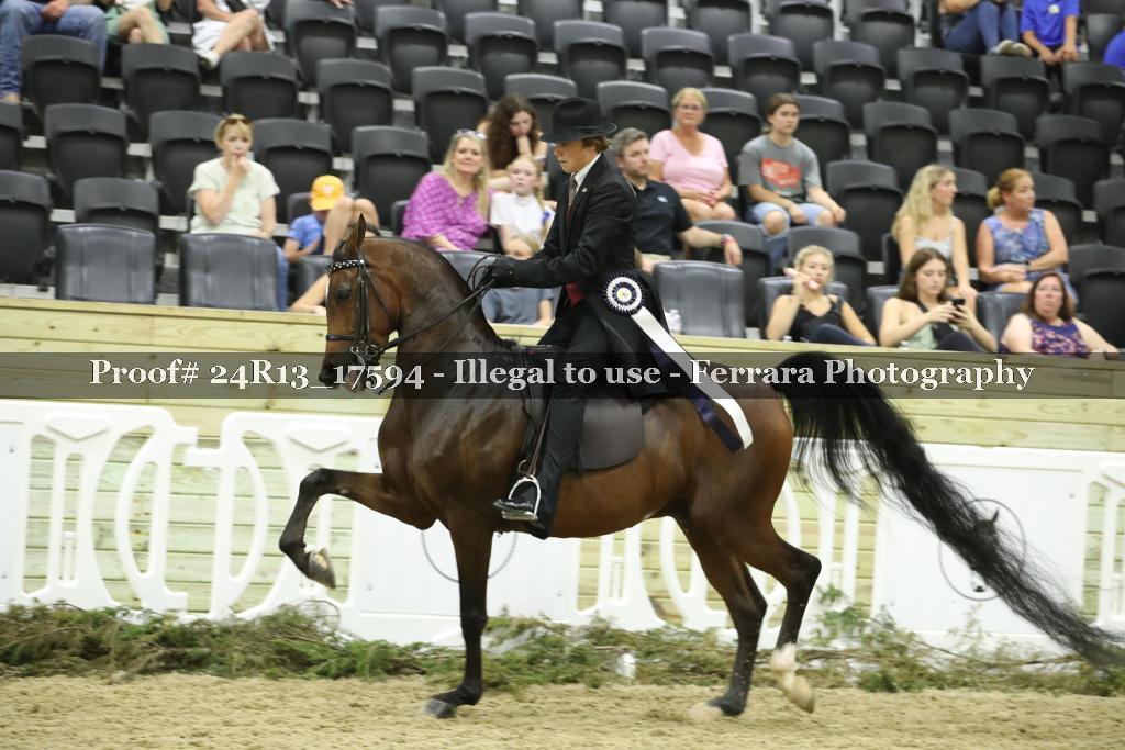 Proof 24R13_17594