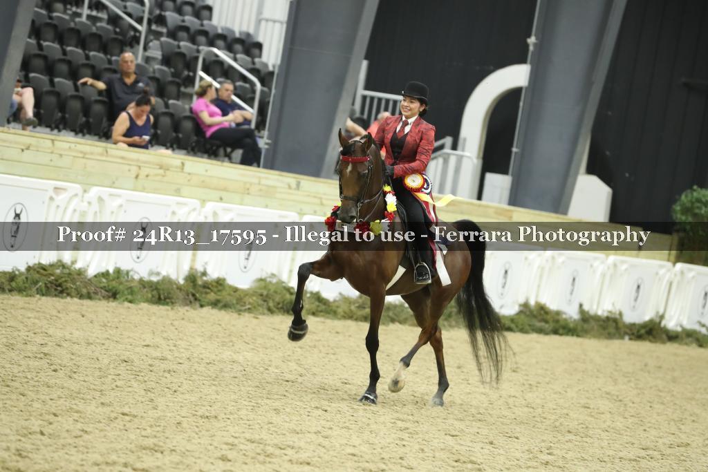 Proof 24R13_17595