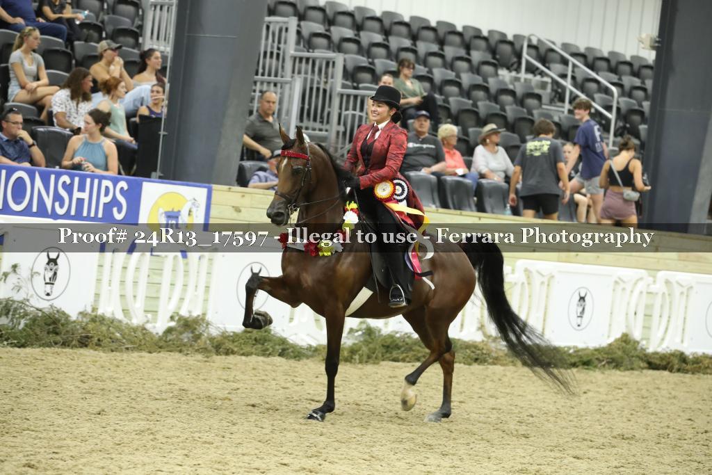Proof 24R13_17597