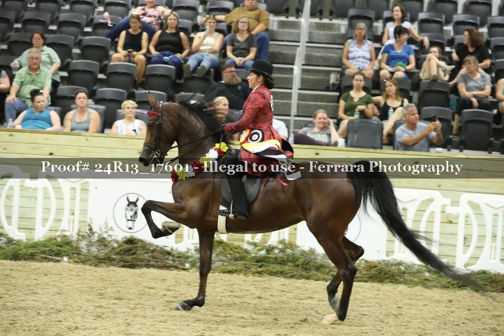 Proof 24R13_17601