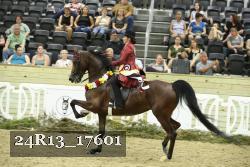 24R13_17601 proof