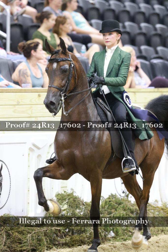 Proof 24R13_17602