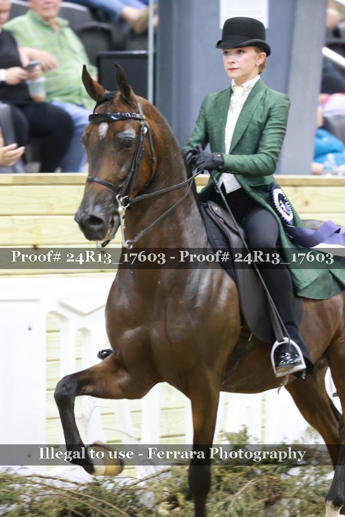 Proof 24R13_17603