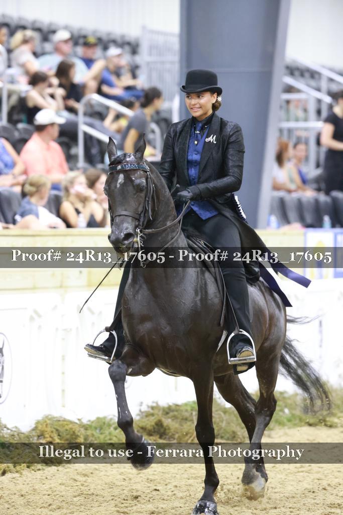 Proof 24R13_17605