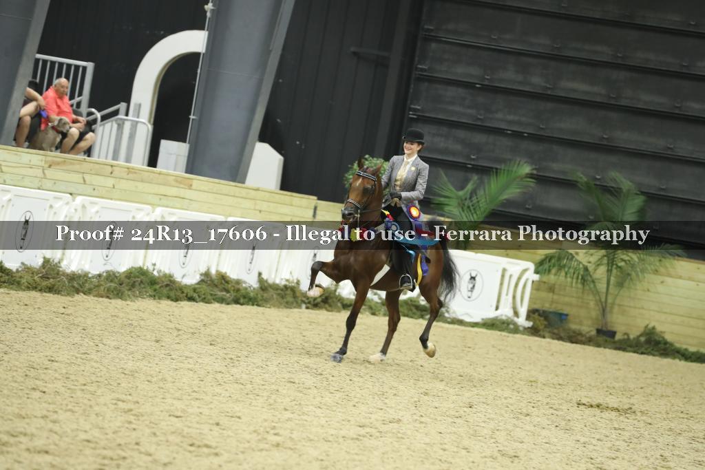 Proof 24R13_17606