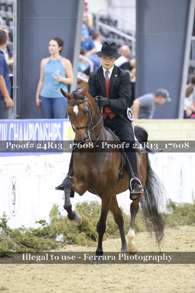 Proof 24R13_17608