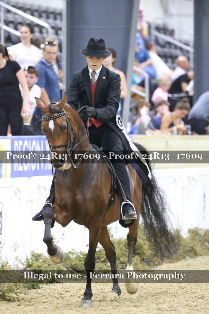 Proof 24R13_17609