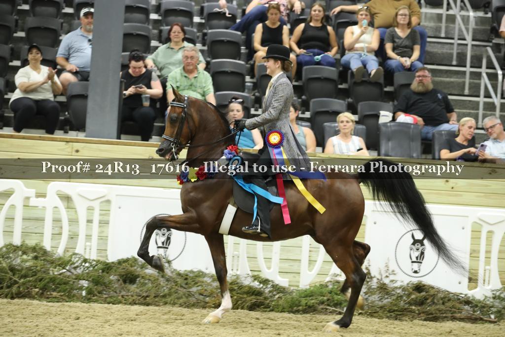 Proof 24R13_17616