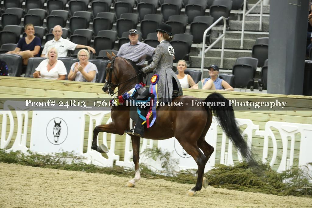 Proof 24R13_17618