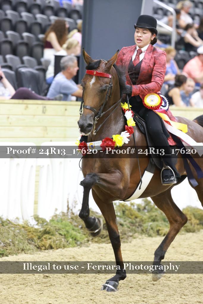 Proof 24R13_17620