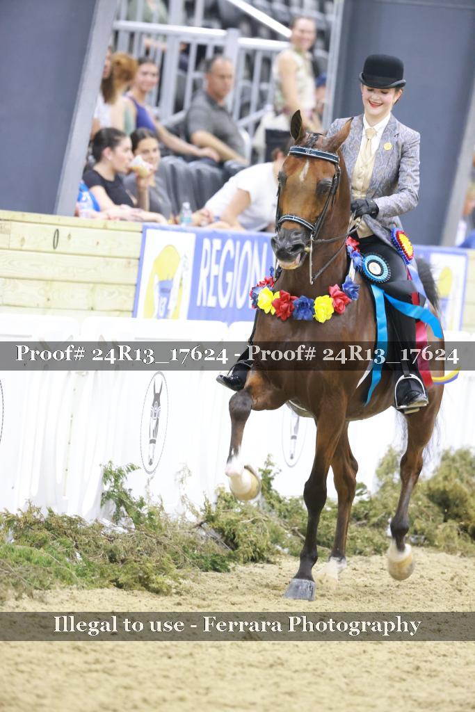 Proof 24R13_17624