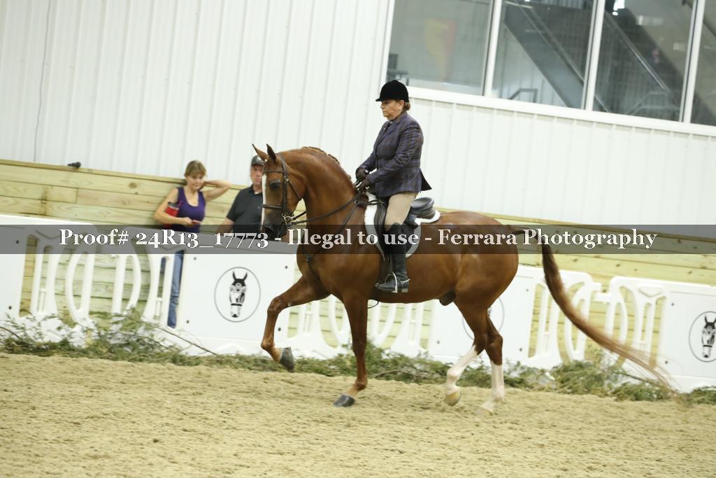 Proof 24R13_17773