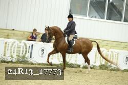 24R13_17773 proof