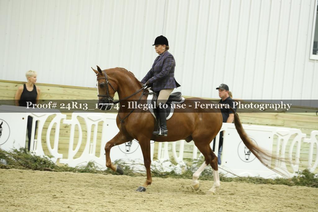 Proof 24R13_17774