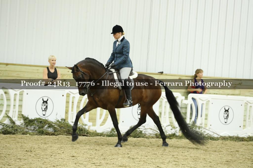 Proof 24R13_17776