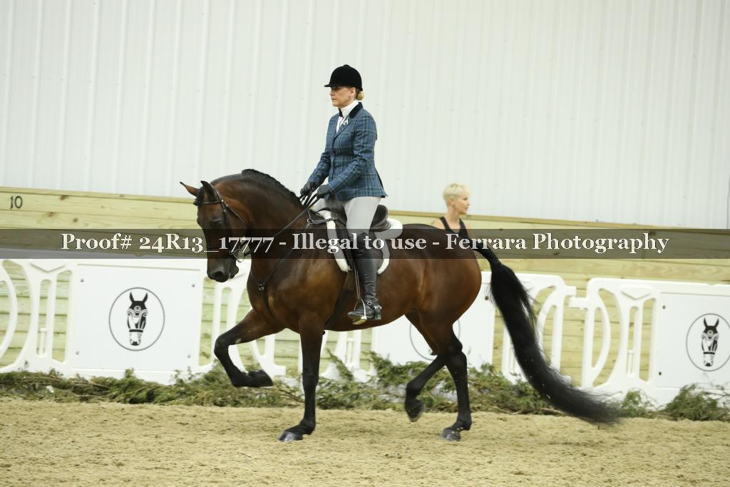 Proof 24R13_17777