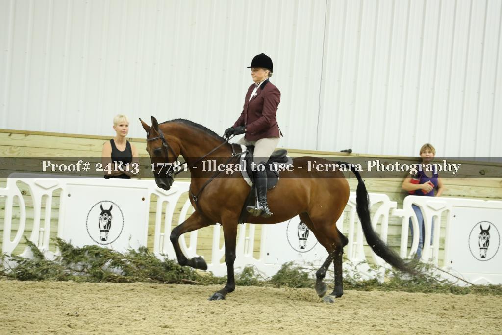 Proof 24R13_17781