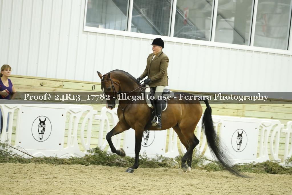 Proof 24R13_17782