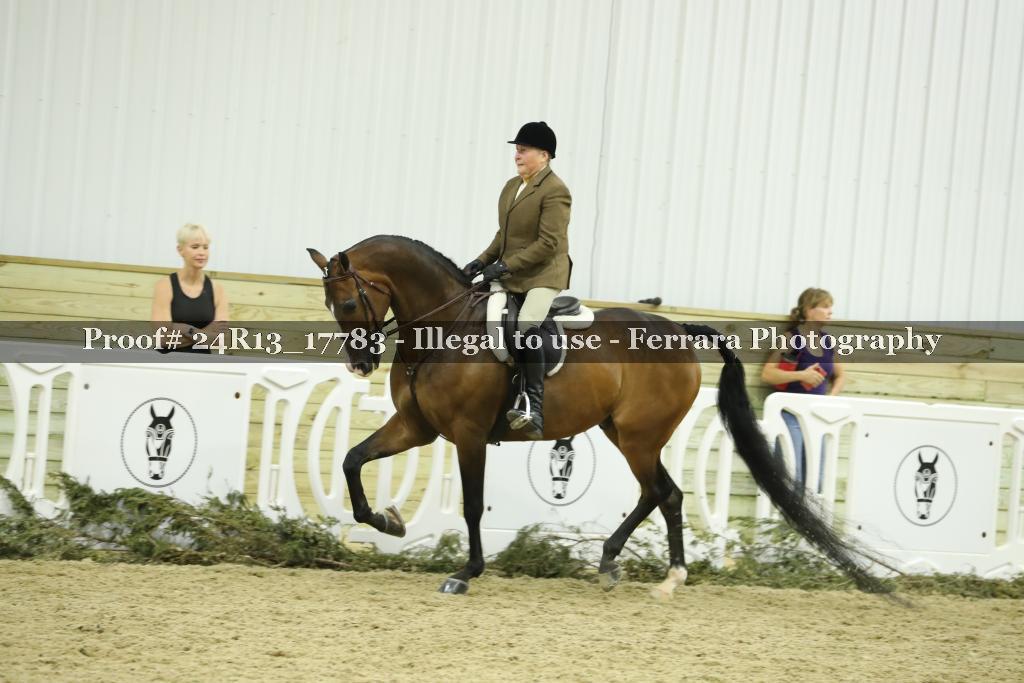 Proof 24R13_17783