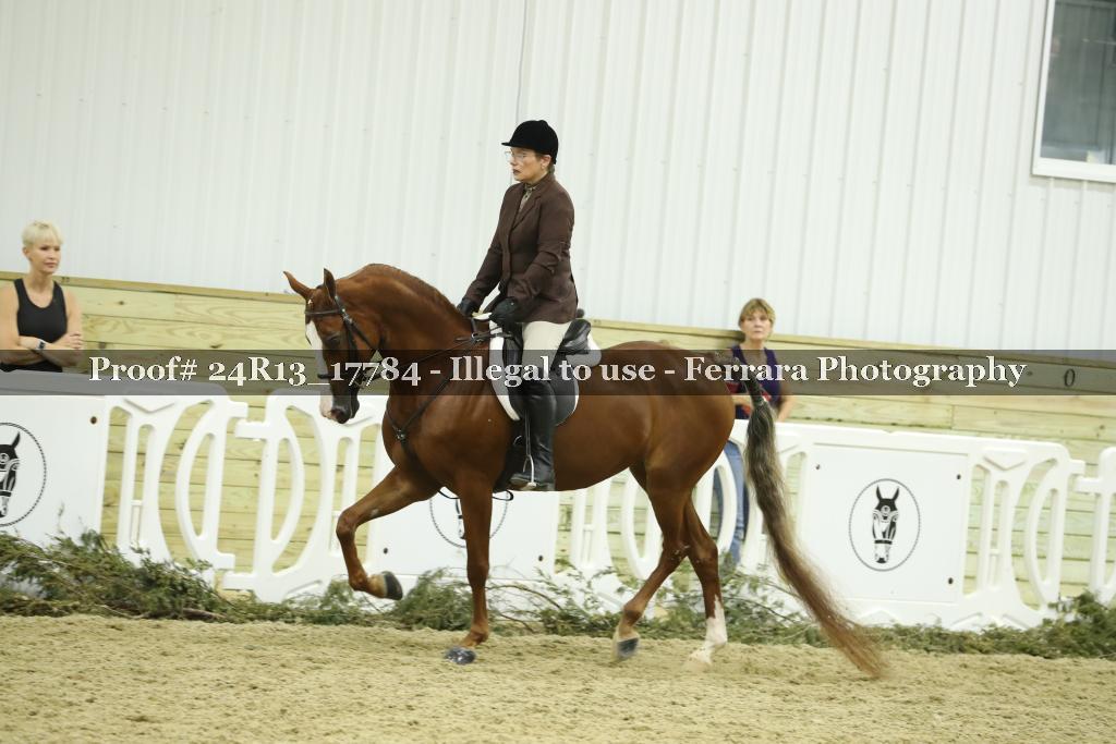 Proof 24R13_17784