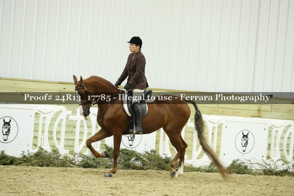 Proof 24R13_17785