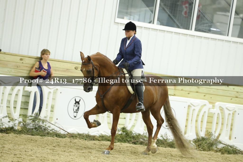 Proof 24R13_17786