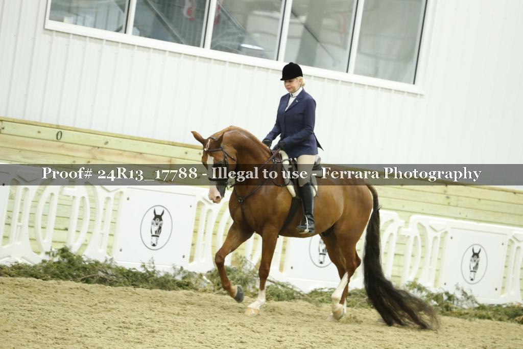 Proof 24R13_17788