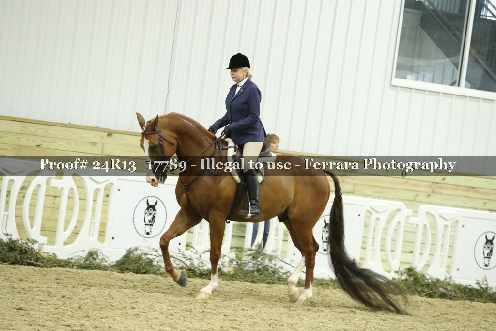 Proof 24R13_17789