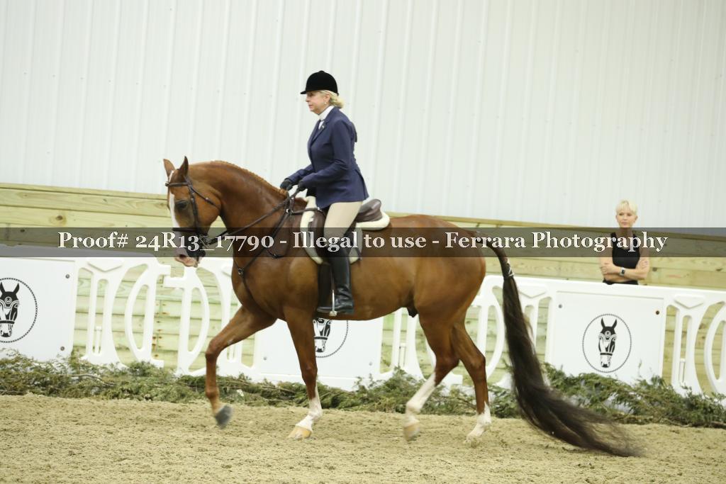 Proof 24R13_17790