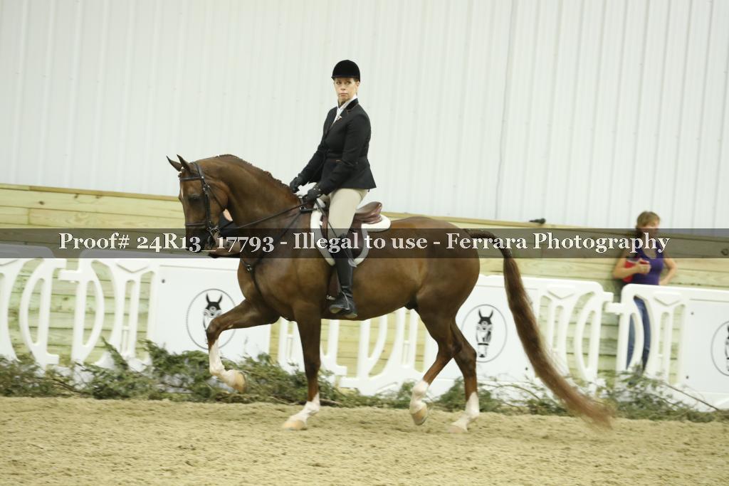 Proof 24R13_17793
