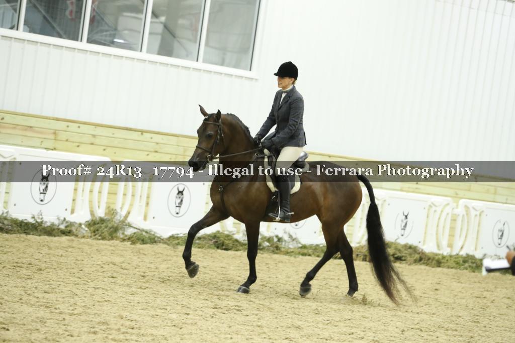Proof 24R13_17794
