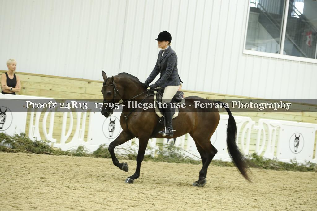 Proof 24R13_17795