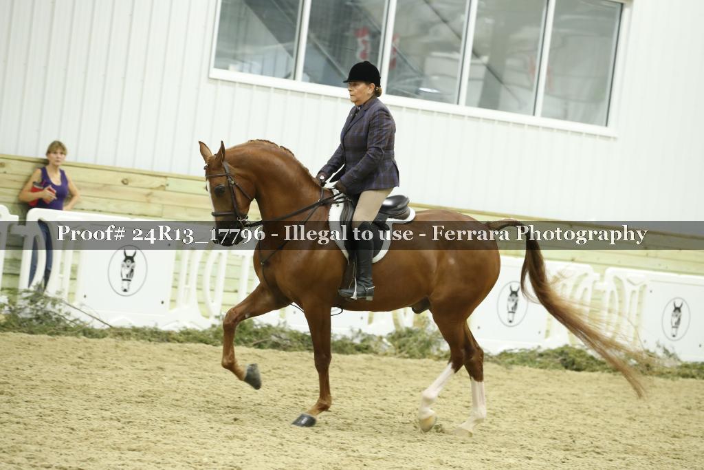 Proof 24R13_17796
