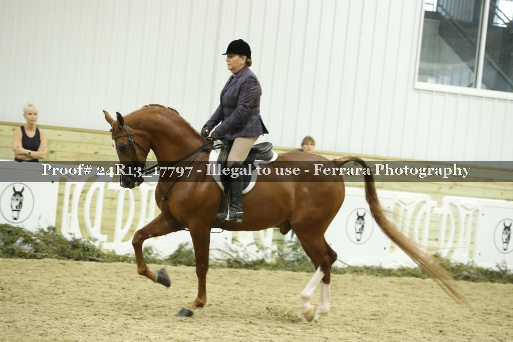 Proof 24R13_17797