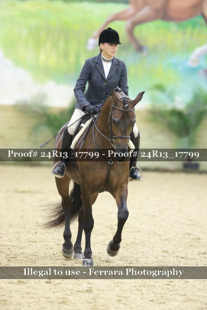 Proof 24R13_17799