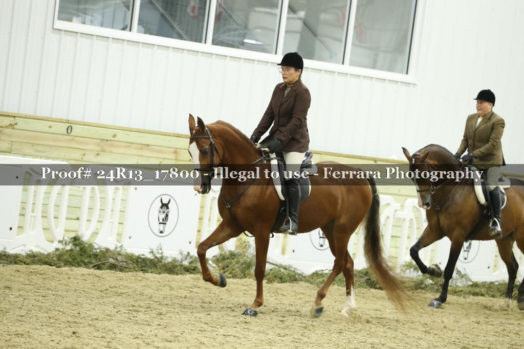 Proof 24R13_17800
