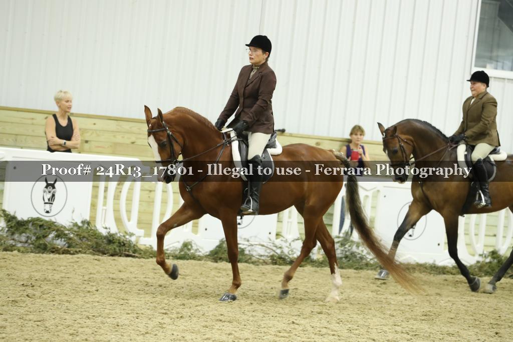 Proof 24R13_17801