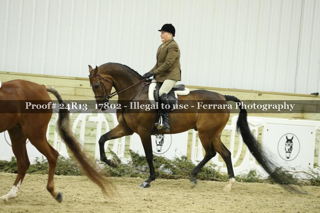 Proof 24R13_17802
