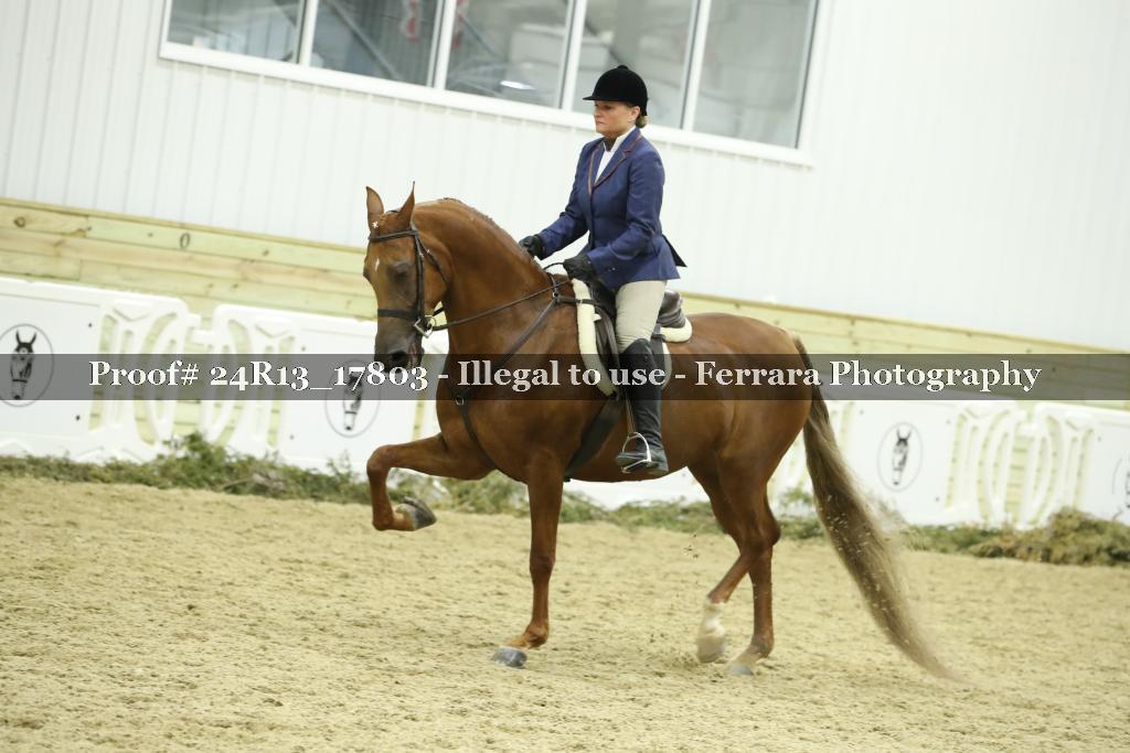 Proof 24R13_17803