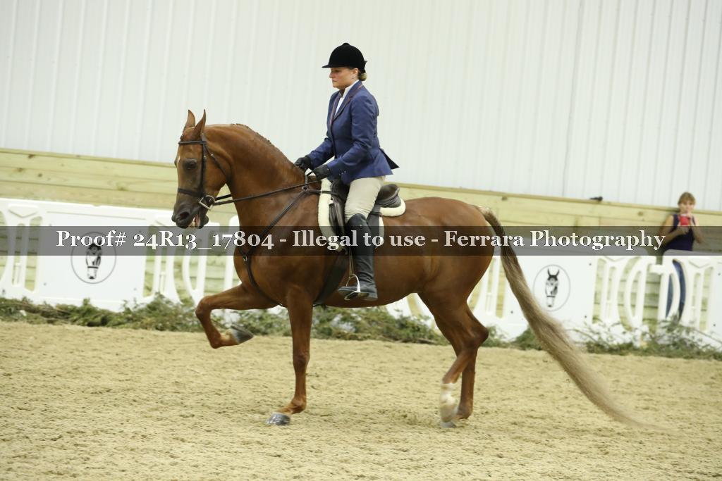 Proof 24R13_17804