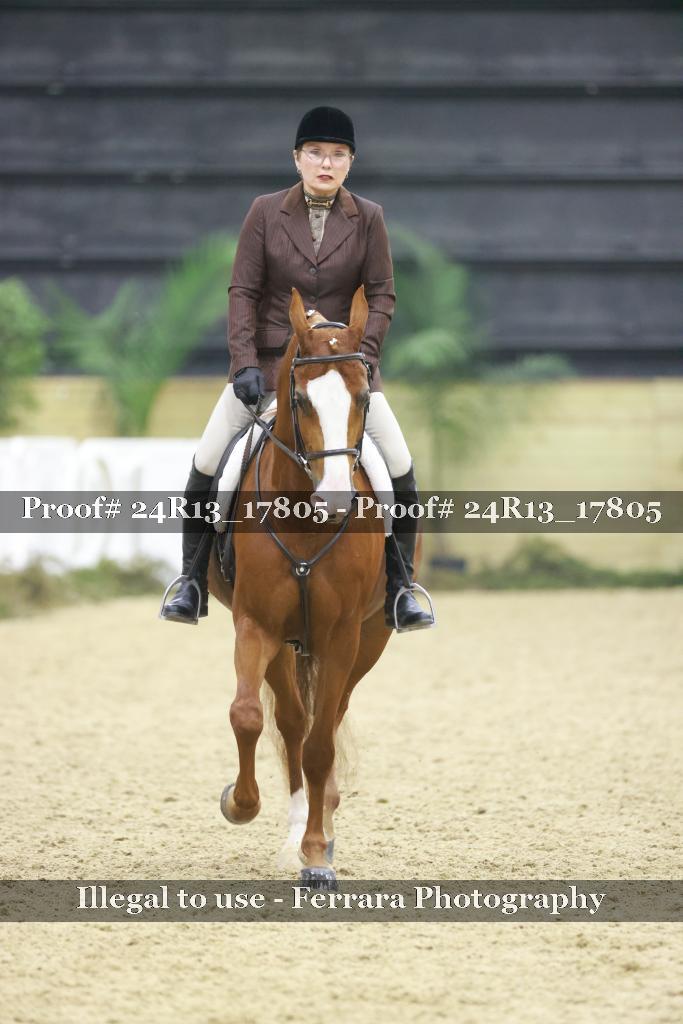 Proof 24R13_17805