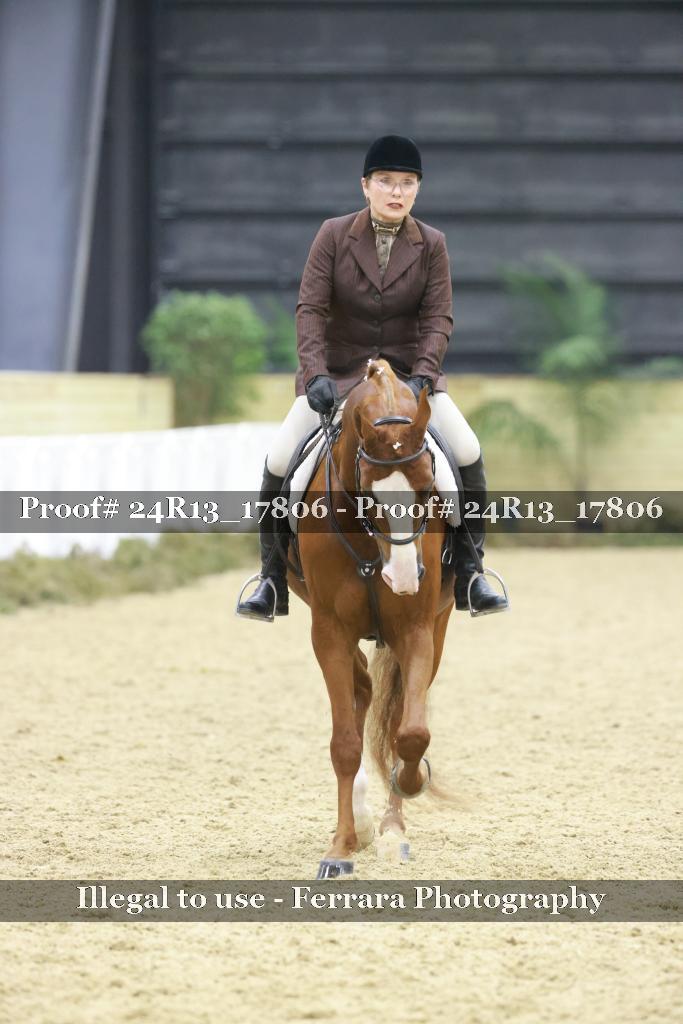 Proof 24R13_17806