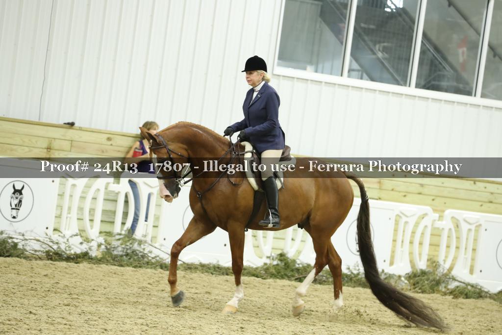 Proof 24R13_17807